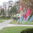 IMG_4601