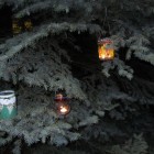 IMG_5188