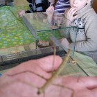 20150305_110111