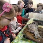 IMG_20150305_093554195
