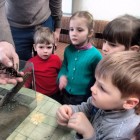IMG_20150305_093736576