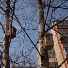 P1018260