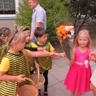 IMG_9342