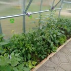 18948681_10213305460850955_1940030229_o