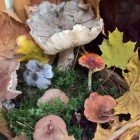 WP_20171019_09_47_25_Pro